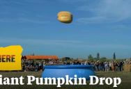 1,200 Pound Pumpkin Dropped From 100 Feet in the Air Into an Inflatable Pool