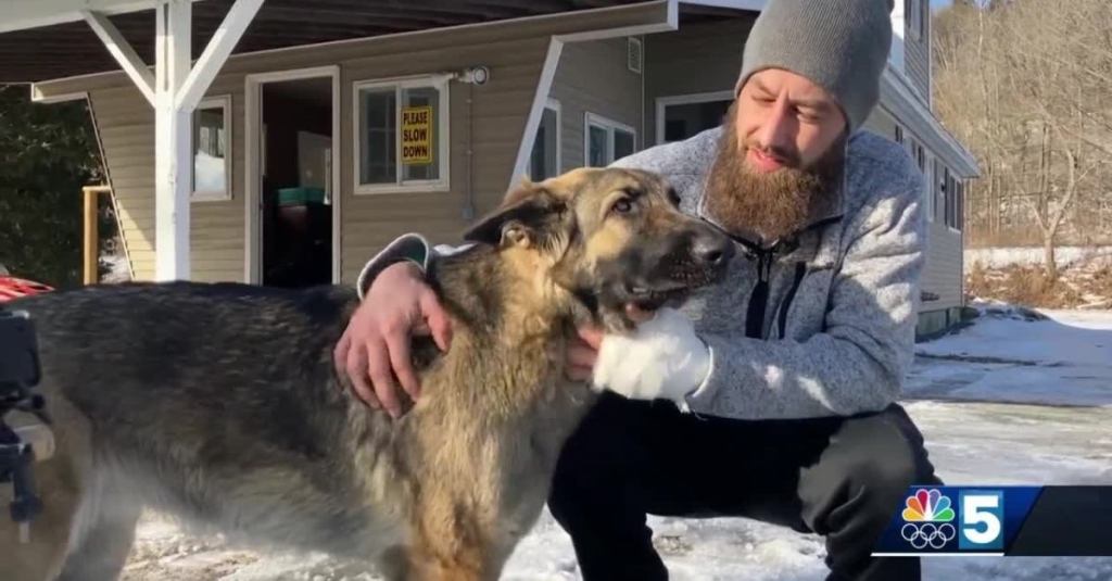 A Dog Helped Police Find Its Owner After a Bad Car Accident