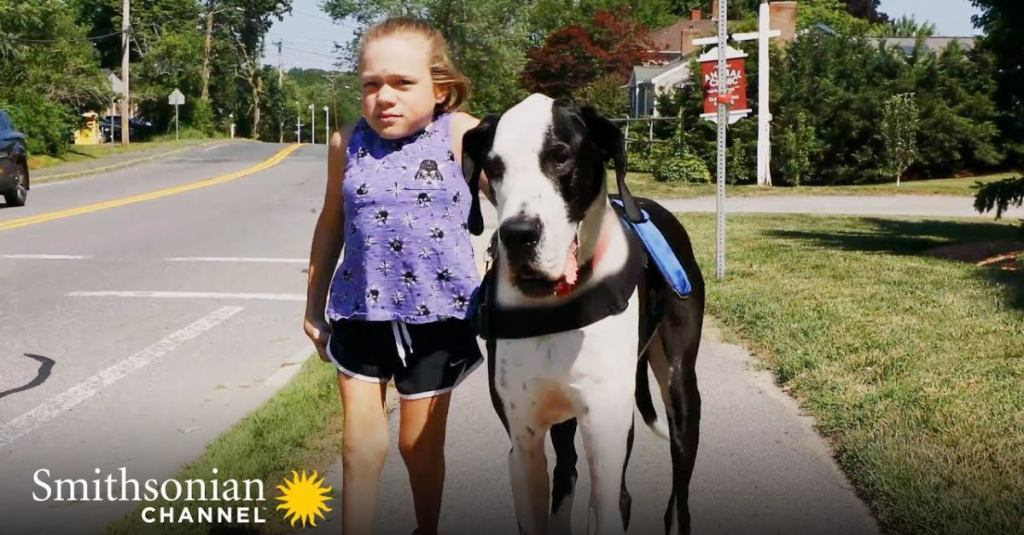 A Great Dane Helped a Girl With a Genetic Bone Condition Walk