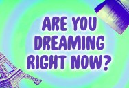 How Do We Know We Aren’t Dreaming?