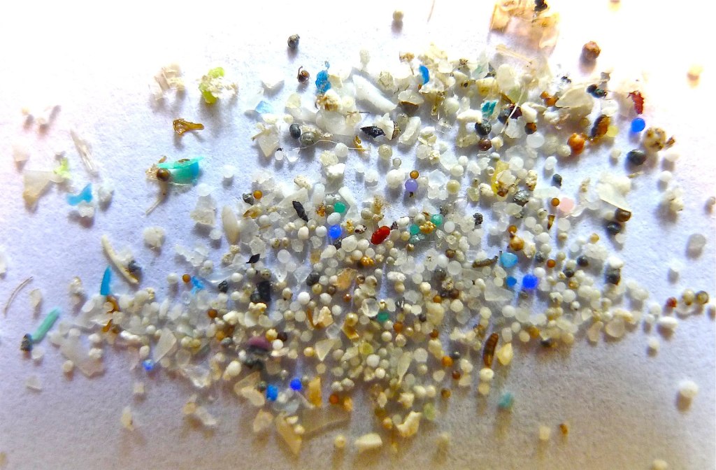 Microplastic Microplastics Have Been Discovered for the First Time in Human Blood