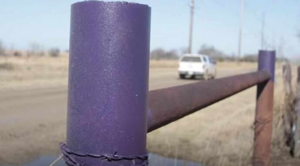 Screen Shot 2022 04 19 at 11.30.39 AM If You See Purple Paint on a Fence Post, This Is What It Means