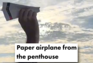 A Bird Chased a Paper Airplane Thrown From the 33rd Floor of a Building