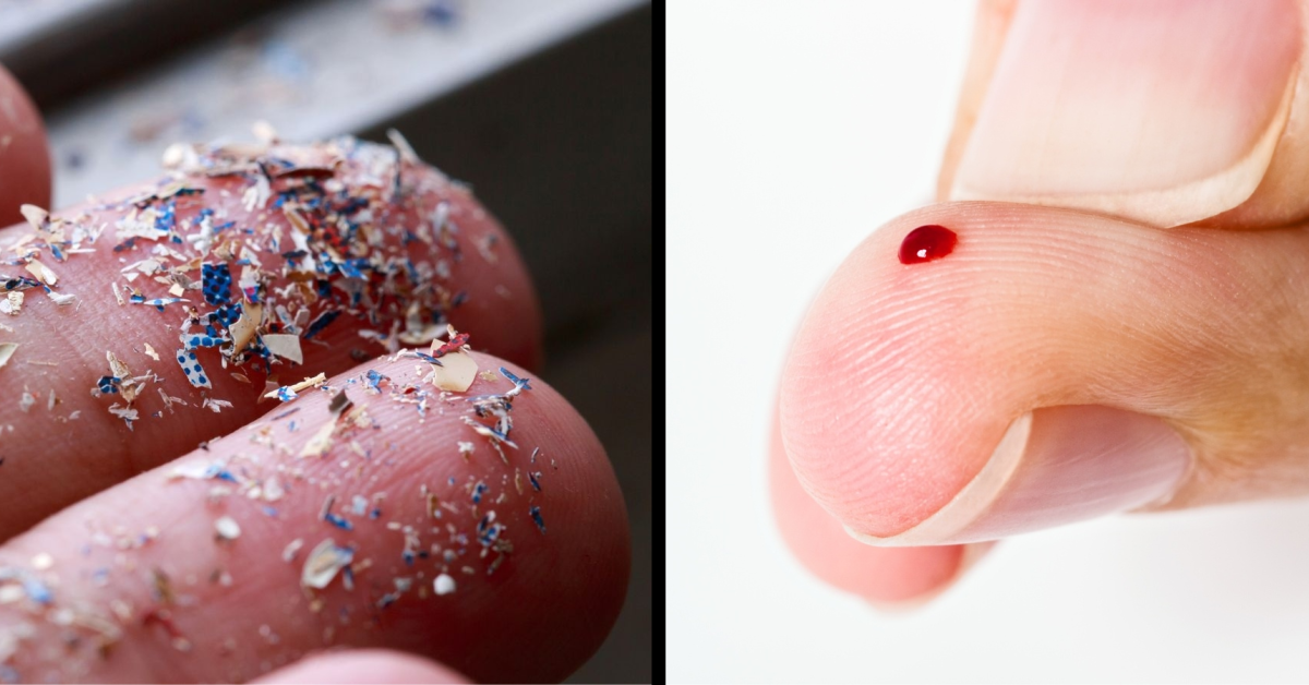 Untitled collage 3 Microplastics Have Been Discovered for the First Time in Human Blood