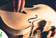 Why Can’t We Make Stradivari Violins Anymore?