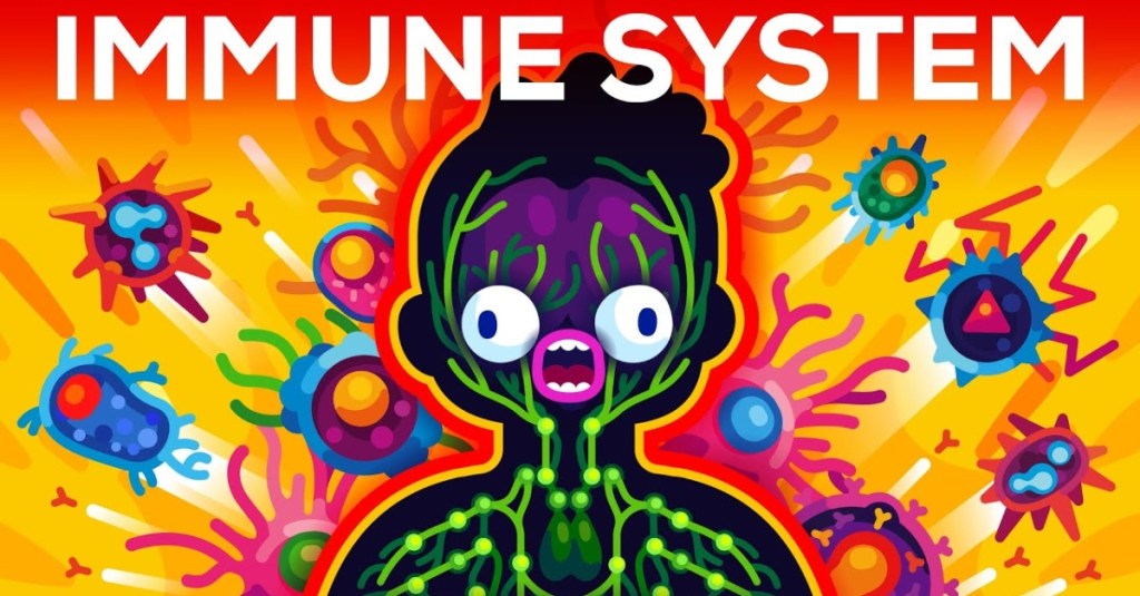 How the Immune System Really Works