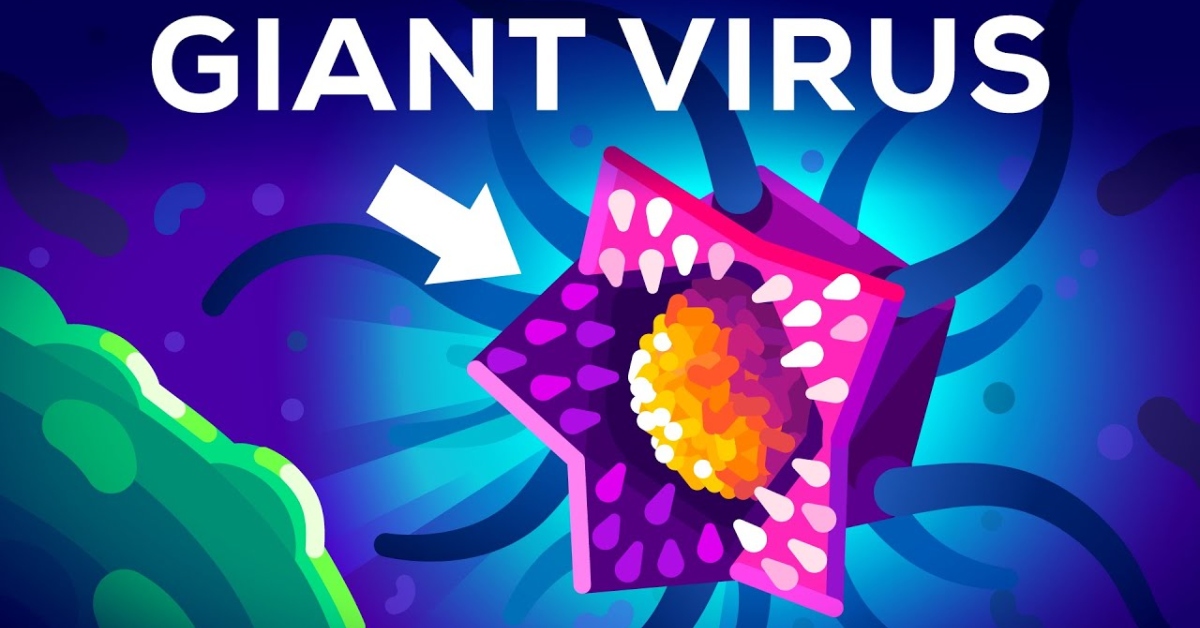 The Giant Virus That Shouldn't Exist but Somehow Does