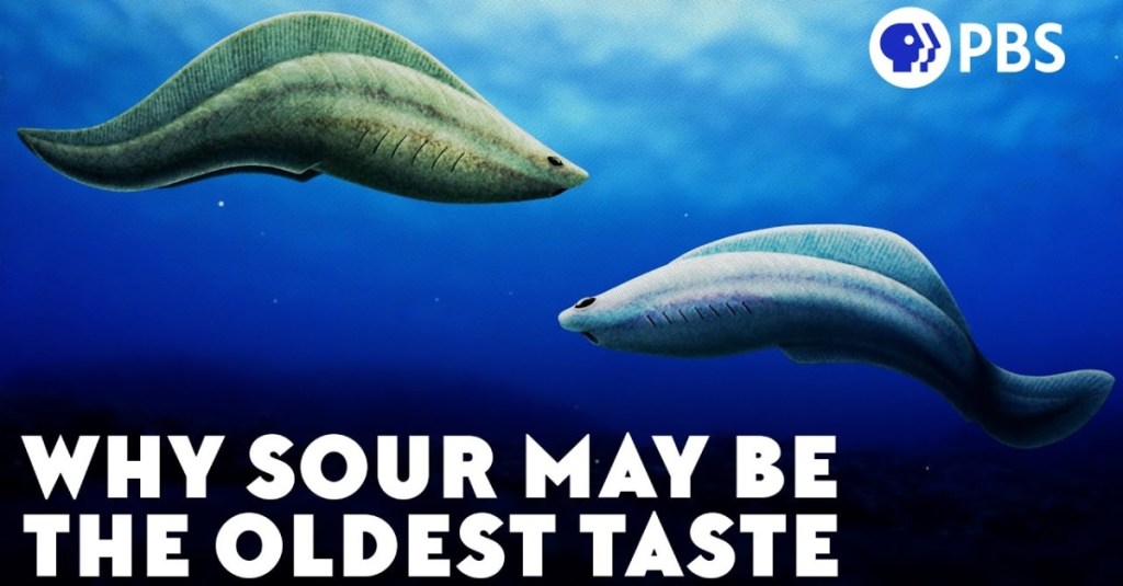 Sour Taste May Be the Oldest Taste of Them All