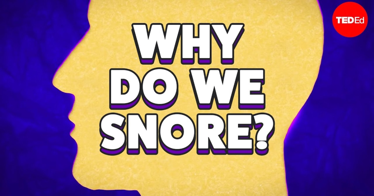 why-do-some-people-snore-louder-than-others-twistedsifter