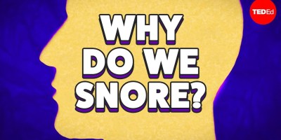 Why Do Some People Snore Louder Than Others?