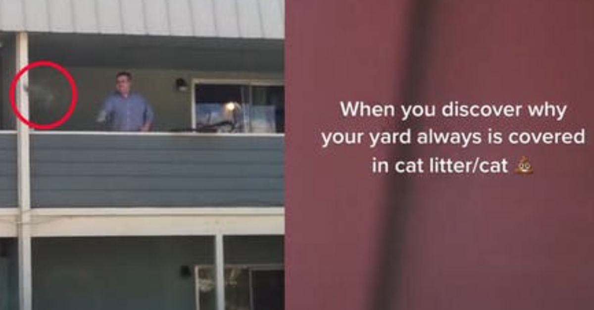 Woman Catches Neighbor Throwing Used Cat Litter Into Her Yard