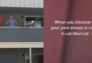 Woman Catches Neighbor Throwing Used Cat Litter Into Her Yard