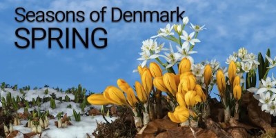 Four Short Films That Show the Beauty of Denmark in All Four Seasons