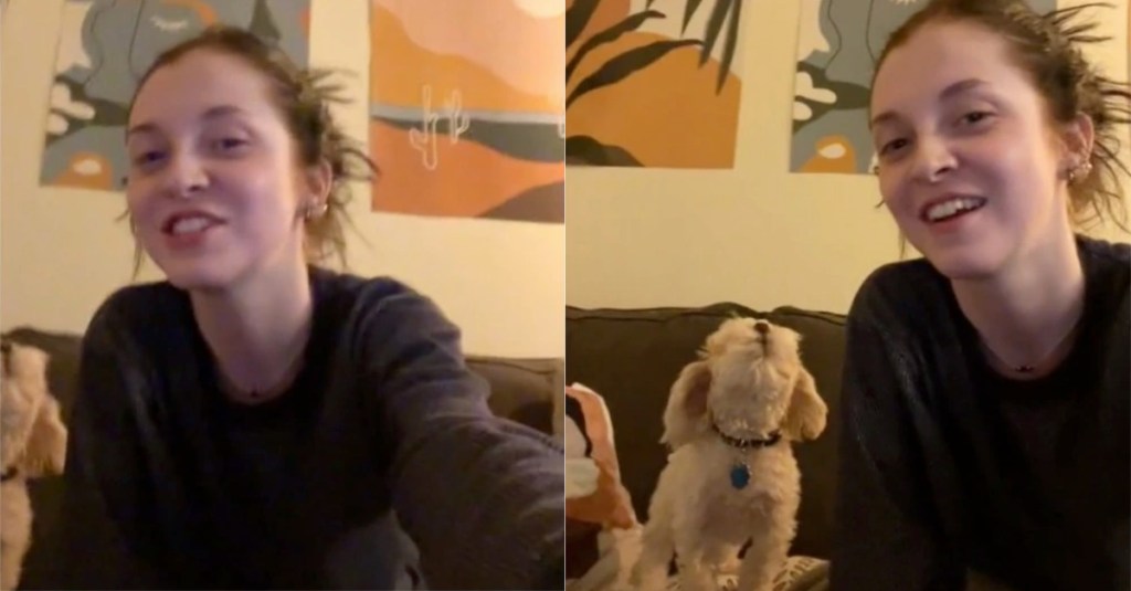 A Dog Took Over Their Human’s Karaoke Session