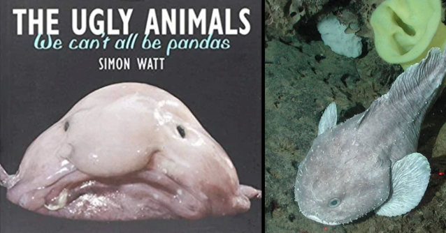 We are all the blobfish.. Behold, on the left, the “world's…