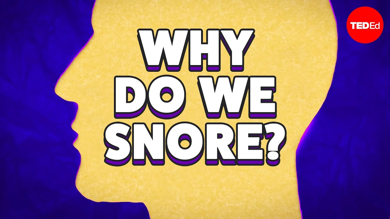 why-do-some-people-snore-so-loudly-twistedsifter