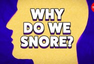 Why Do Some People Snore So Loudly?