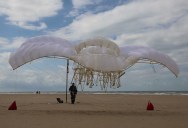 Artist Creates New Form of “Life” with Strandbeests