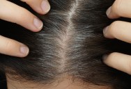 Gray Hair Can Be Reversed but We Don’t Know Exactly Why Yet