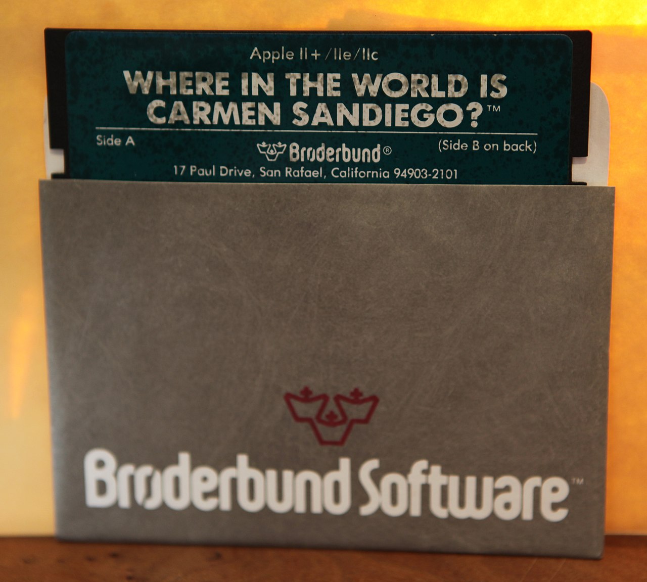1280px Carmen Sandiego Floppy 50 Facts About The 90s That Will Make You Feel Very Nostalgic