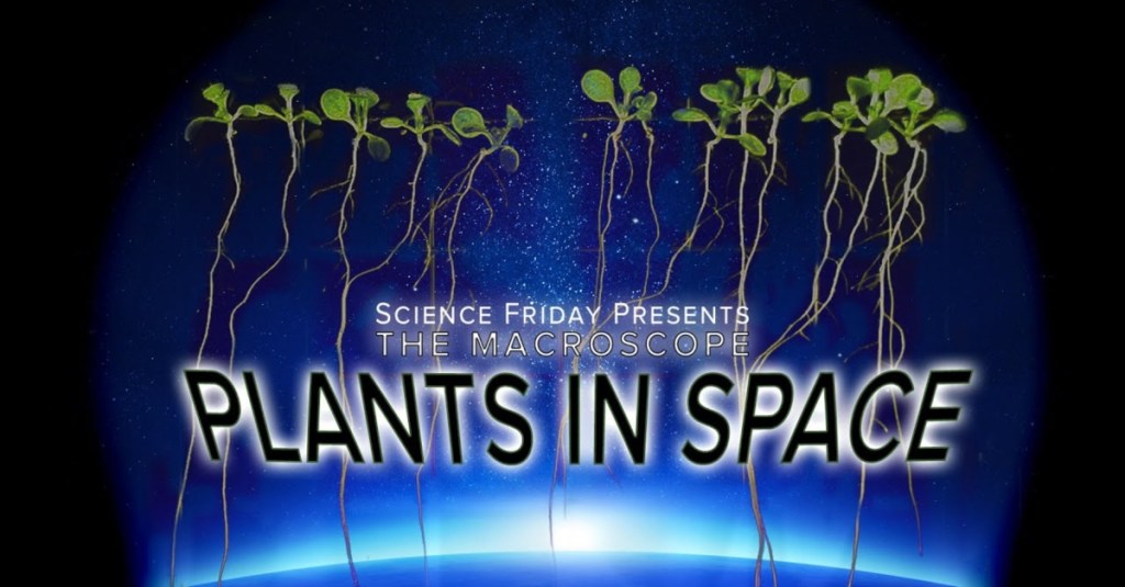 This Is How Plants Grow in Space