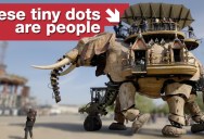 You Can Ride a Giant Mechanical Elephant in France