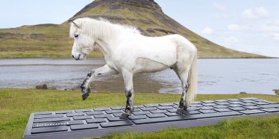 Horses Can Respond to Work Emails So Iceland Tourists Can Disconnect and See the Sights