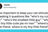 10 Funny Tweets About People Talking To Their Cats