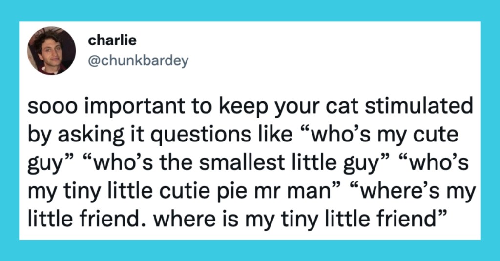 10 Funny Tweets About People Talking To Their Cats