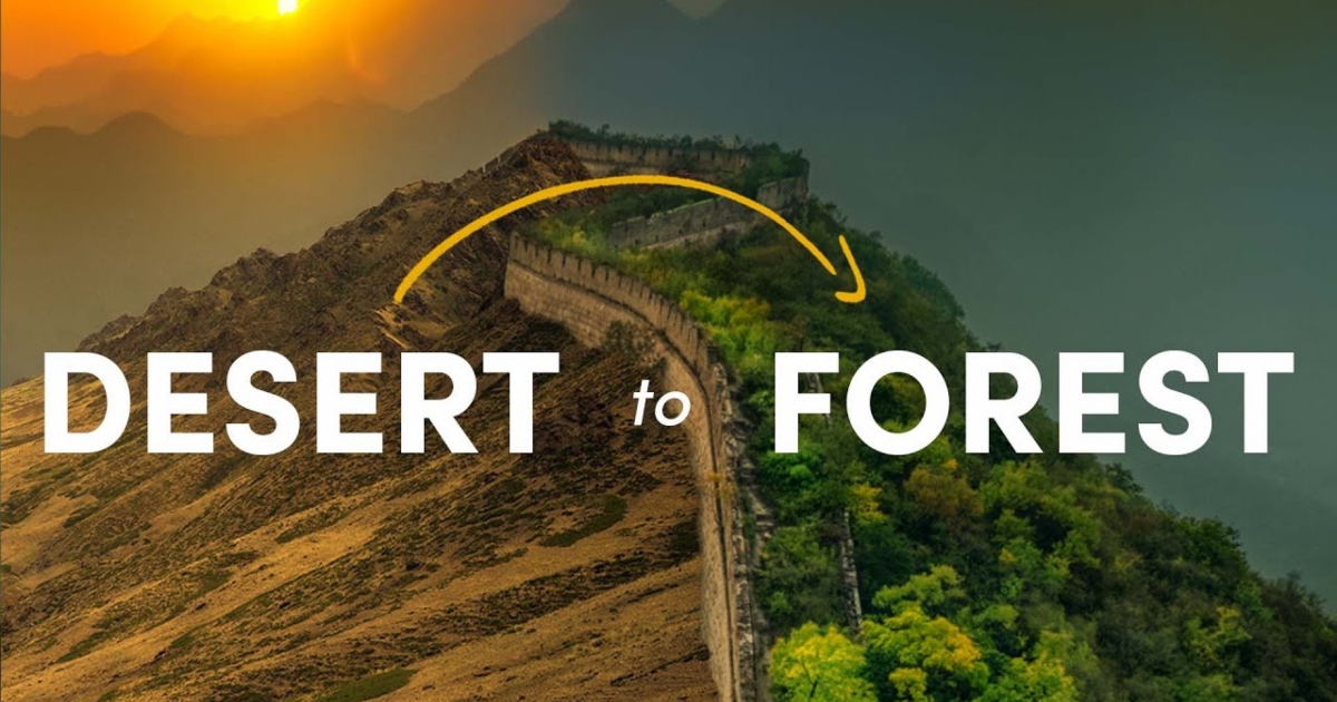 How China Tried to Turn the Desert Green (and Why it Went Wrong)