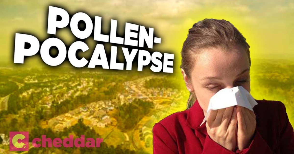 How Humans Created the Pollen-Pocalypse