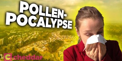 How Humans Created the Pollen-Pocalypse