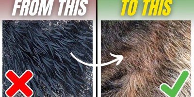 How to Paint Realistic-Looking Fur