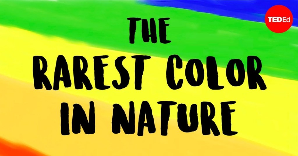 What is the Rarest Color in Nature?