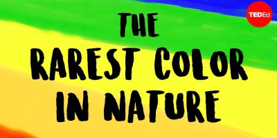 What is the Rarest Color in Nature?