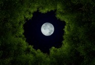 5 Ways The Full Moon Can Alter Your Mood