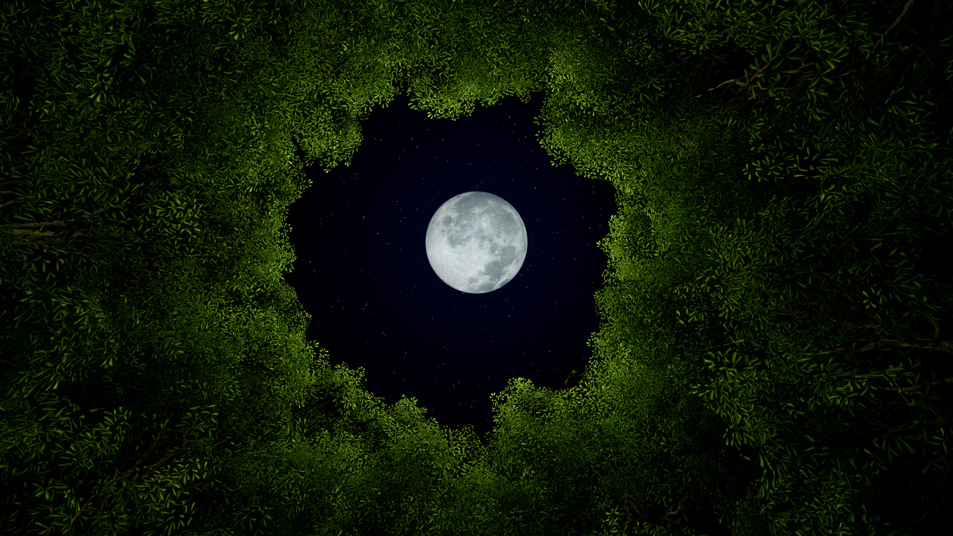 iStock 1368974336 5 Ways The Full Moon Can Alter Your Mood