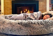 People Can Now Sleep In A Human-Sized Dog Bed Named Plufl