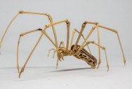 Artist Makes Highly Detailed Bamboo Insects