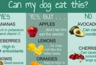 10 Interesting Food Charts You Should Check Out