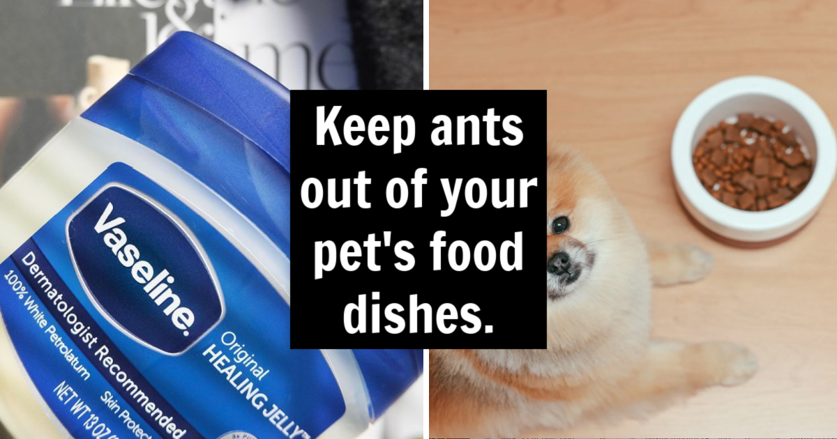 20 Ways You Never Thought To Use Petroleum Jelly