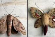 Textile Moths With Vintage Tapestry Wings