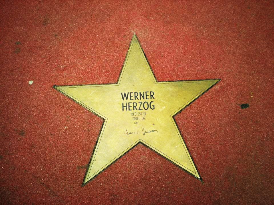 WERNER HERZOG star 10 Facts About Joaquin Phoenixs Unusual Life