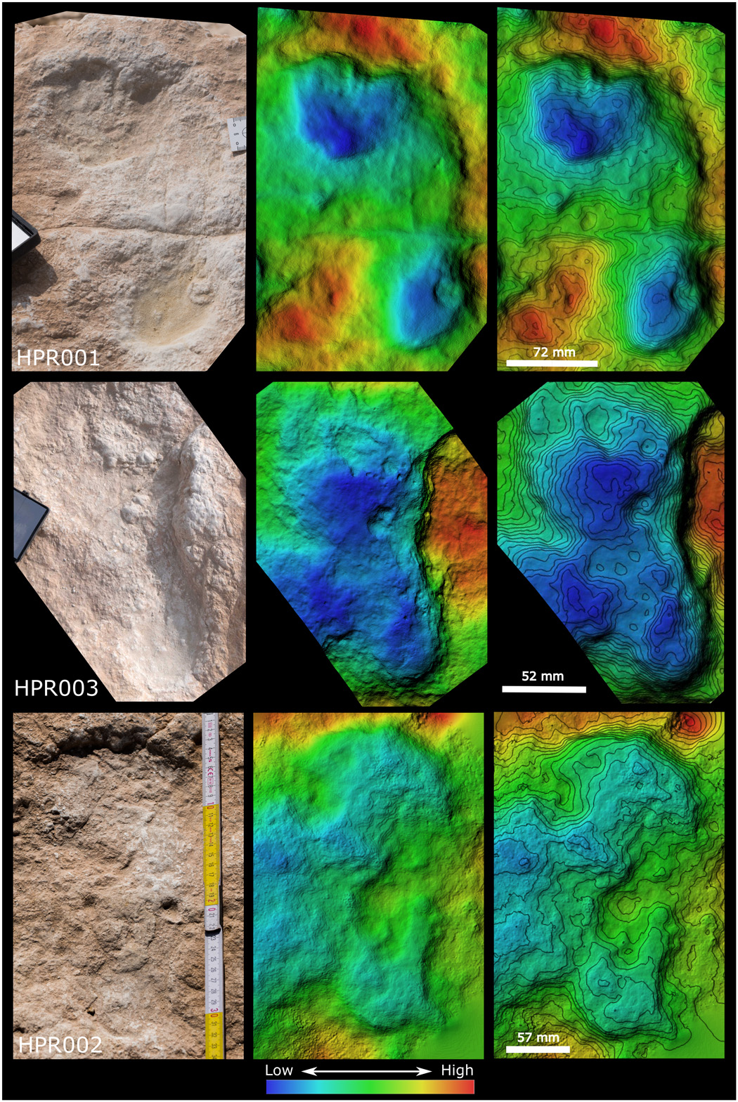 aba8940 f4 How Newly Discovered Ancient Footprints Are Changing The Way Scientists Think About Early Human Migration