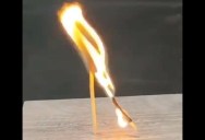 These Burning Matchsticks Look Like They’re Kissing After They’re Lit