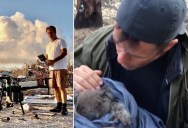 Hero Uses Drones With Thermal Cameras to Rescue Animals After Natural Disasters