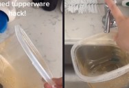 Get Stains Out of Your Plastic Containers With This Easy Cleaning Hack