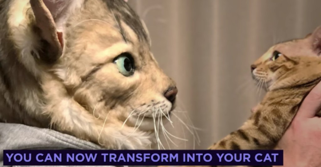 Turn Your Cat’s Face Into a Realistic Mask