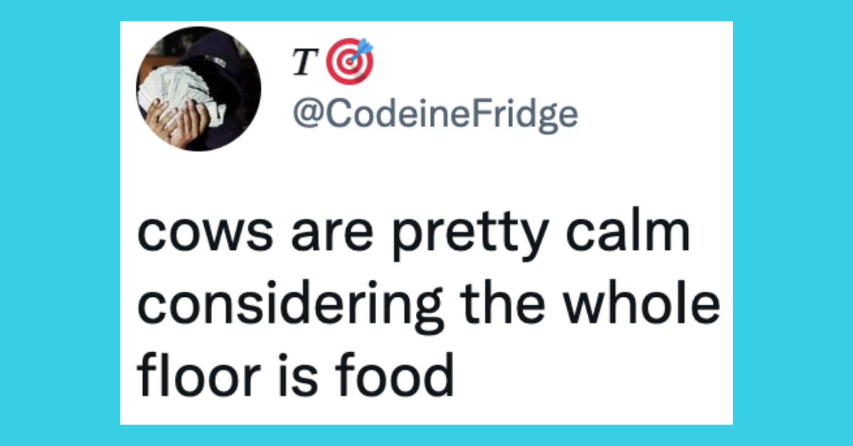 10 Hilarious Tweets That Will Make You Snort