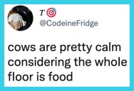 10 Hilarious Tweets That Will Make You Snort